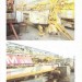 scansione0002-363x500